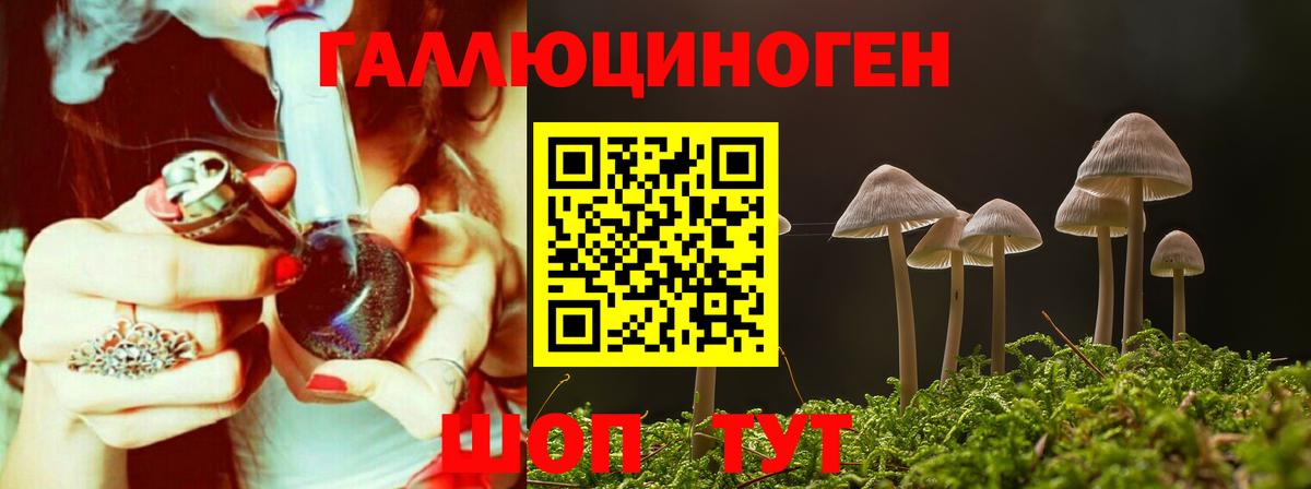 Псилоцибиновые грибы Psilocybe  Галлюциногенные грибы GOLDEN TEACHER  Вход с VPN  Каспийск 