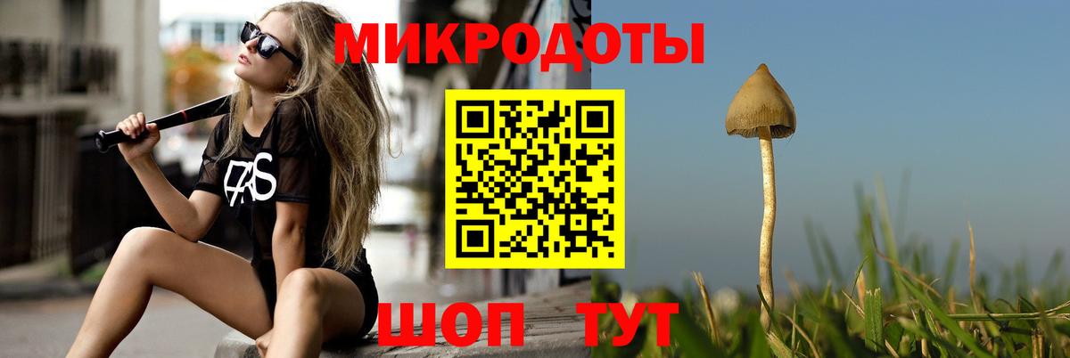 Галлюциногенные грибы мицелий Каспийск
